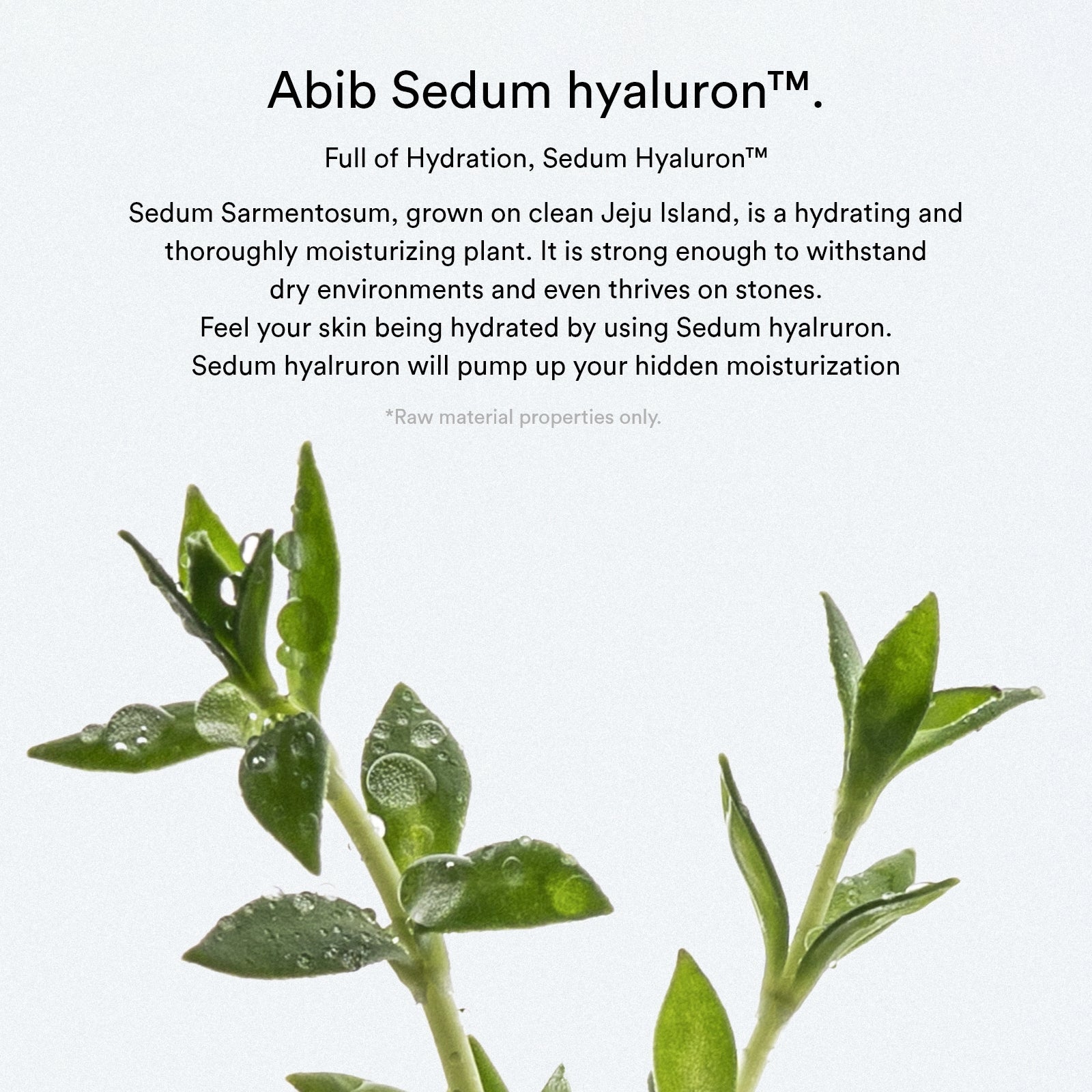 Abib Hydrating Touch 75Pcs