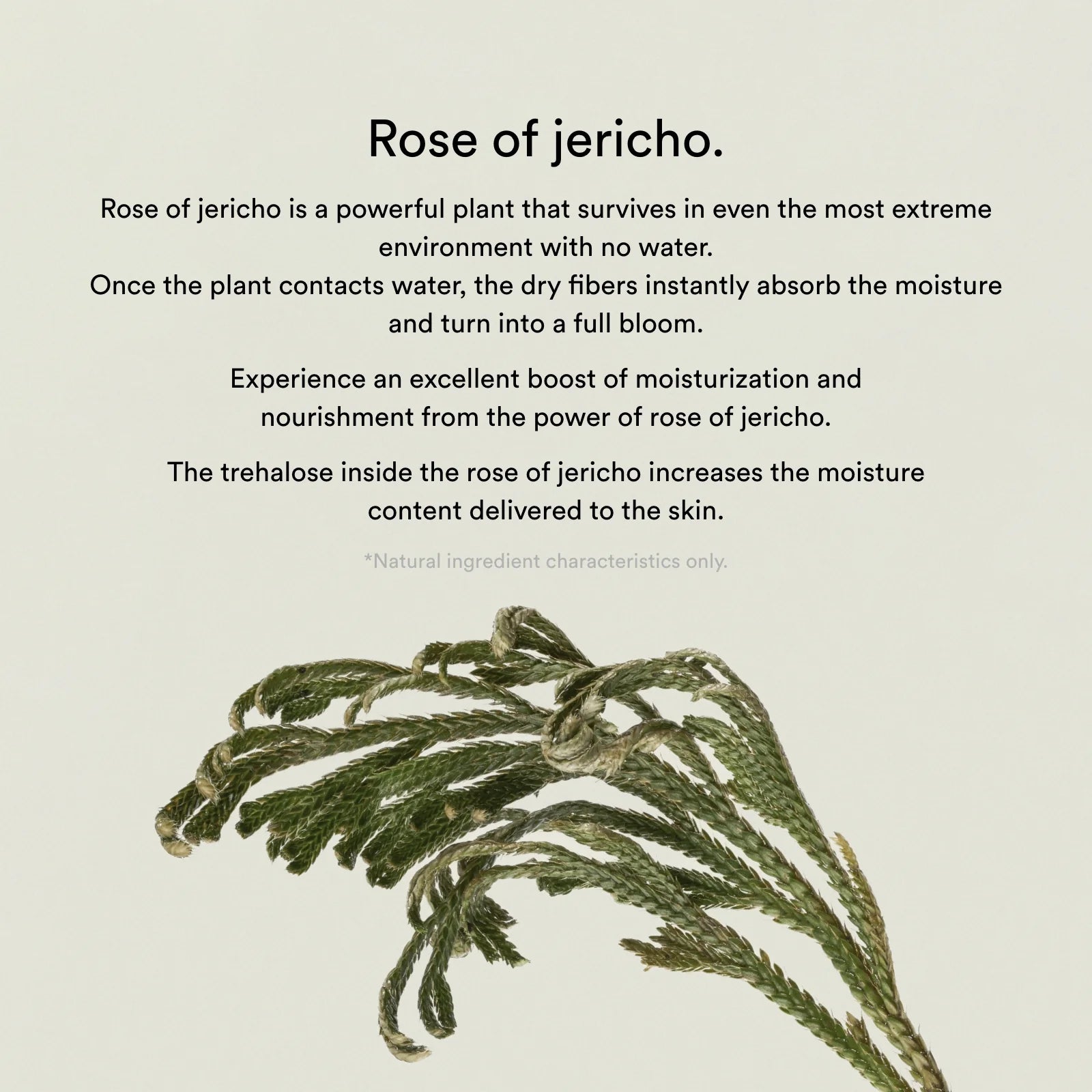 Abib Collagen Gel Mask Jericho Rose Jelly